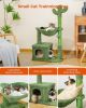 Indoor with Large House Natural Sisal Rope Cactus Cat Tree Condo